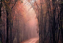 开云体育下载-克罗地亚轻取日本，科瓦契奇送出助攻：一场信念与技术交织的胜利之夜