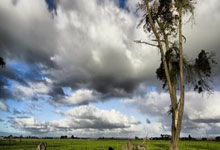 开云体育官方网站-奇才轻取法国男篮，波特关键制胜