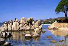 开云体育APP下载-世界网球队横扫美国网球队，费德勒绝境逆转